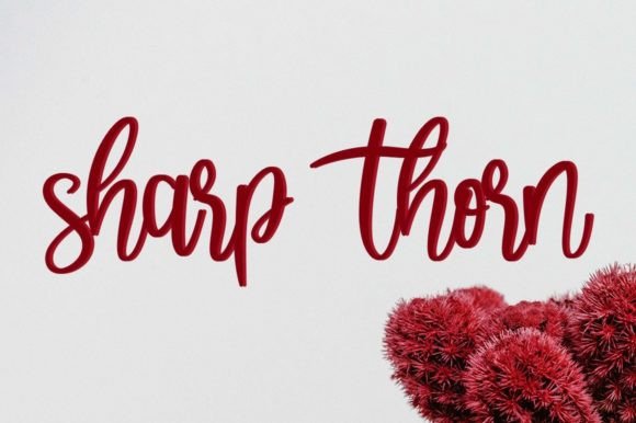 Beauty Font - Preview 3