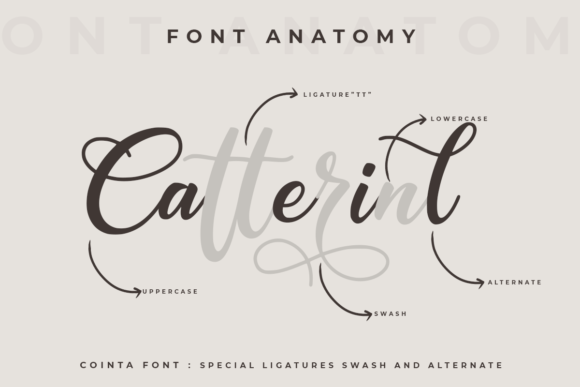 Cointa Font - Preview 1