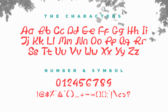Equal Relationship Font - Preview 1
