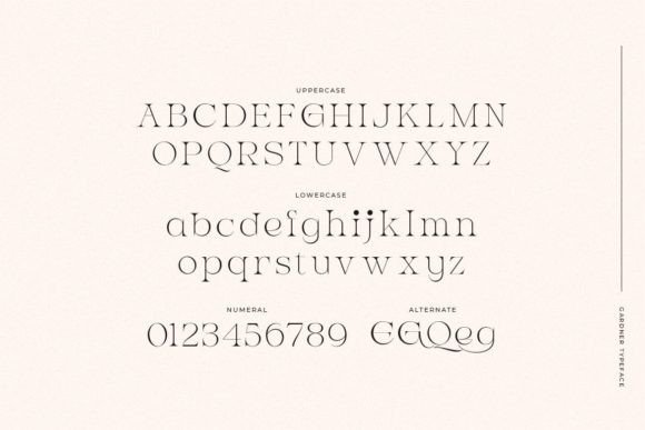 Gardner Font - Preview 1