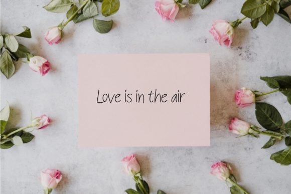 Aina Font - Preview 3