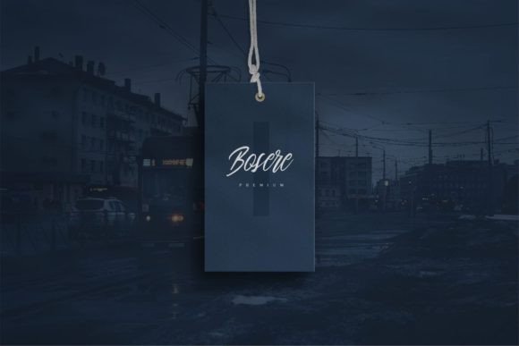 Billishin Font - Preview 3