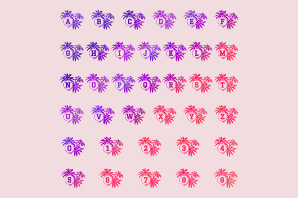 Black Eyed Susan Font - Preview 1