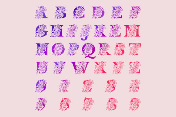 Black Eyed Susan Split Font - Preview 1