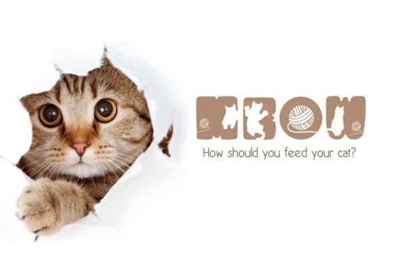 Cat Love Font - Preview 5