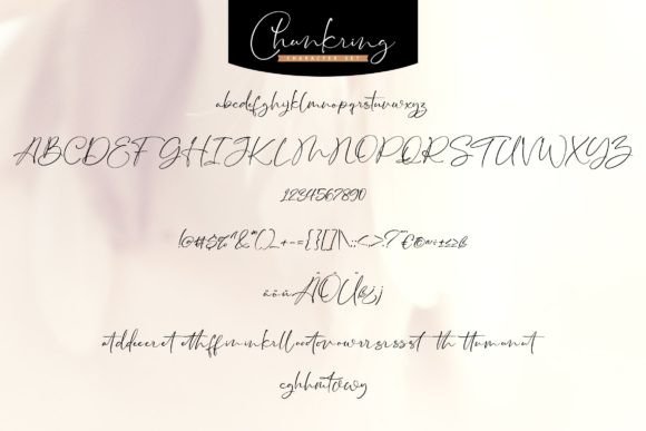 Chunkring Font - Preview 4