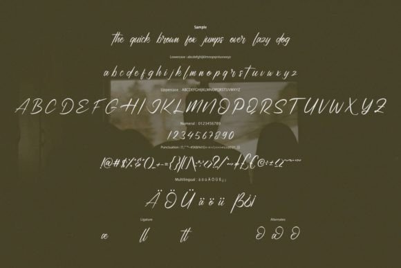 Domthere Font - Preview 5