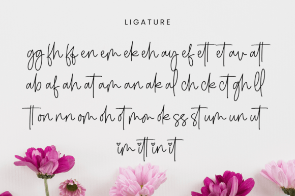 Romantic Austine Font PNG with transparent background - Preview 5