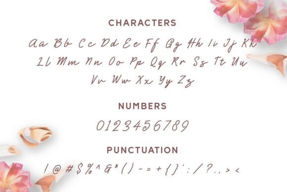 Shearlight Font PNG with transparent background - Preview 5