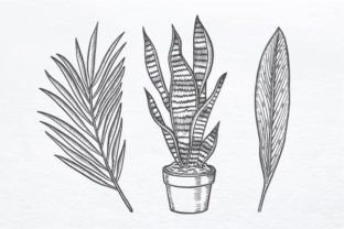 Tropical Leaf Hand Drawn Sketch Vector Graphic by ribkhan studio ...