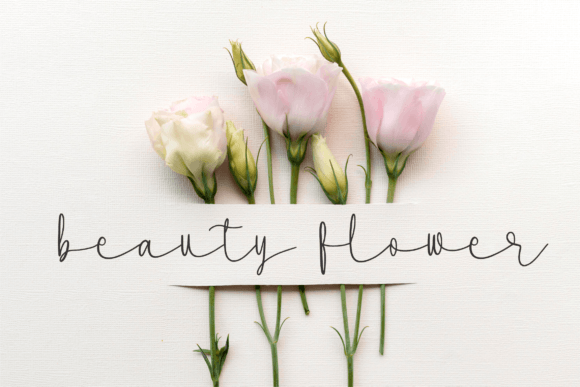 Milanicay Font PNG with transparent background - Preview 4