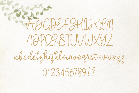 Bayberry Font - Preview 6