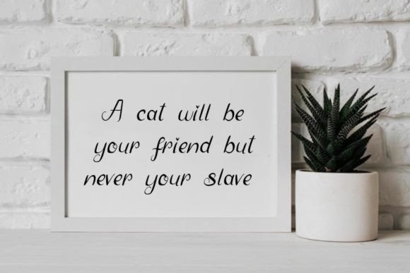 Observation Font PNG with transparent background - Preview 1