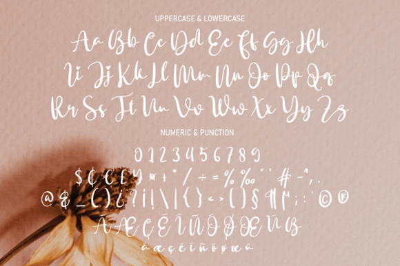 Bekind Font - Preview 6