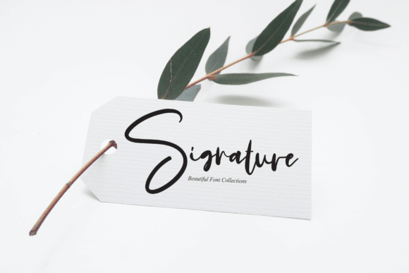 Calligraphy Signature Font - Preview 2