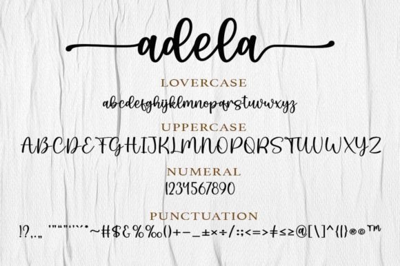 Adela Font - Preview 5