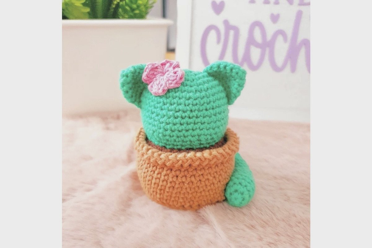 Cactus Cat
