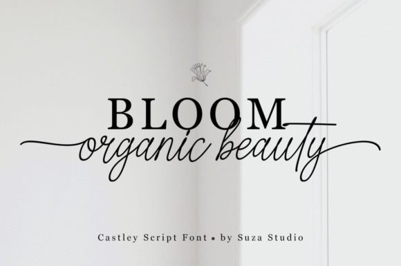 Castley Font - Preview 4