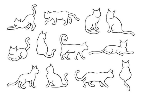 Cat Illustrations