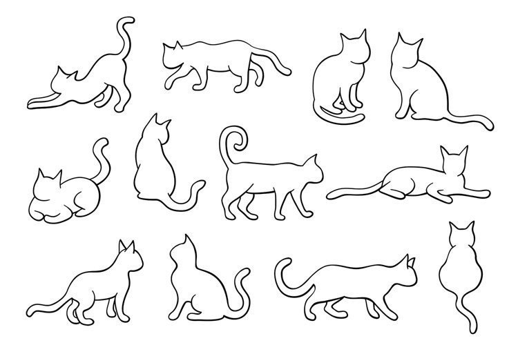 Cat Illustrations