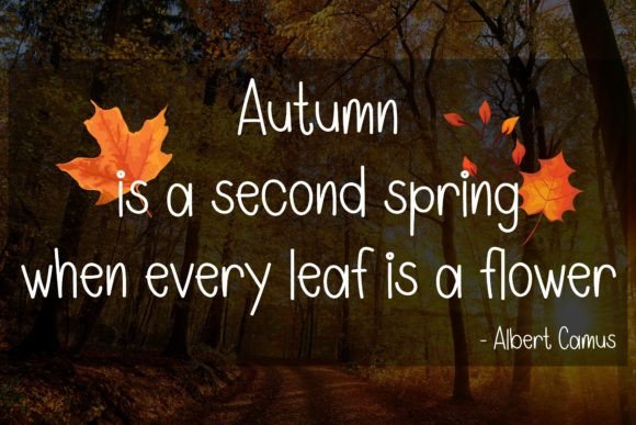 Autumn Twilight Font - Preview 1