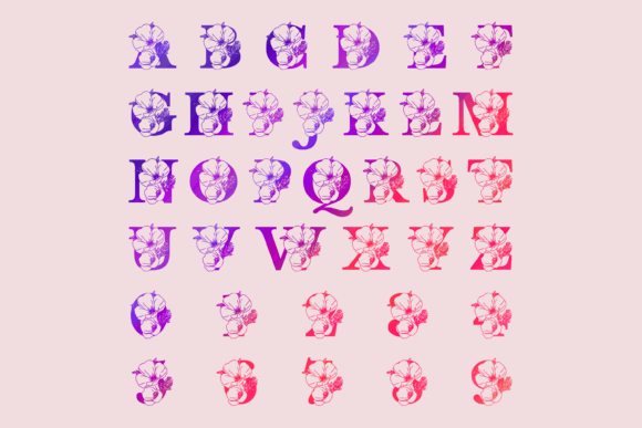 California Poppy Split Font - Preview 1