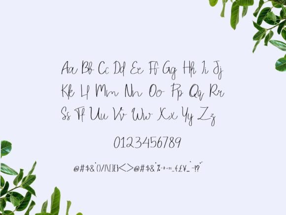 Shogun Font PNG with transparent background - Preview 3