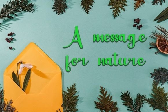 Amazon Font - Preview 3
