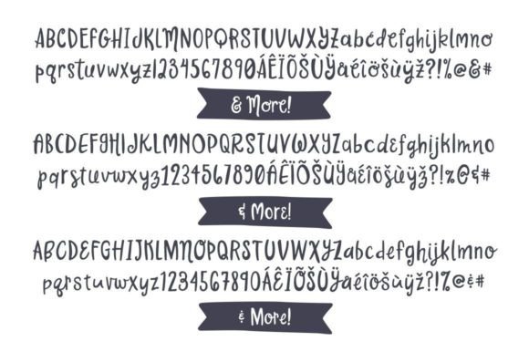 Bottega Font - Preview 5