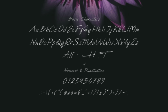 Graffito Queen Font - Preview 2