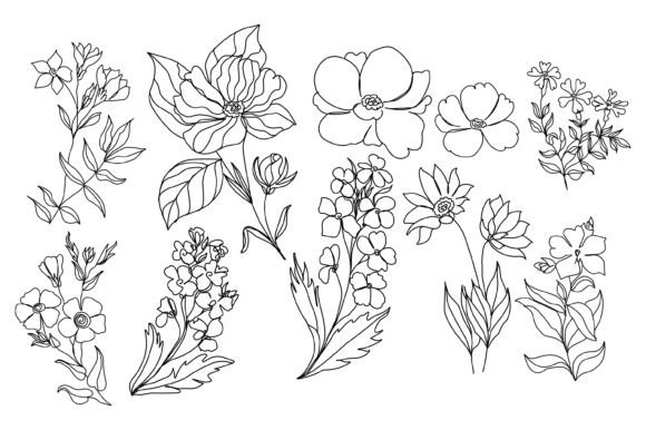Abstract Flower Line Art Design Graphic by oxur4 · Creative Fabrica