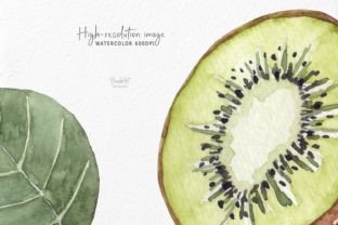 Watercolor Kiwi Clipart. Graphic by brushartdesigns · Creative Fabrica