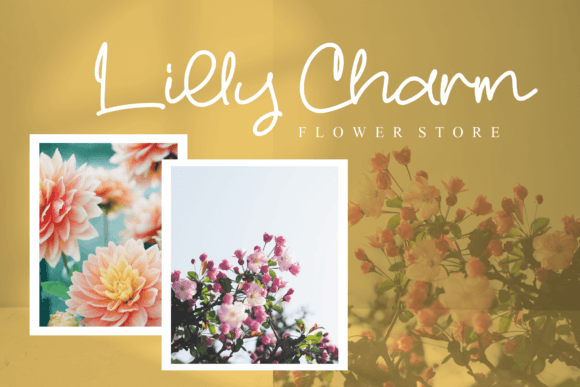 Abigail Font - Preview 6