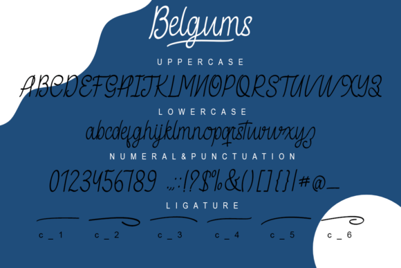Belgums Font - Preview 4