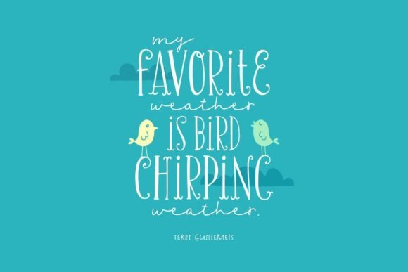Chirp & Blossom Font - Preview 1
