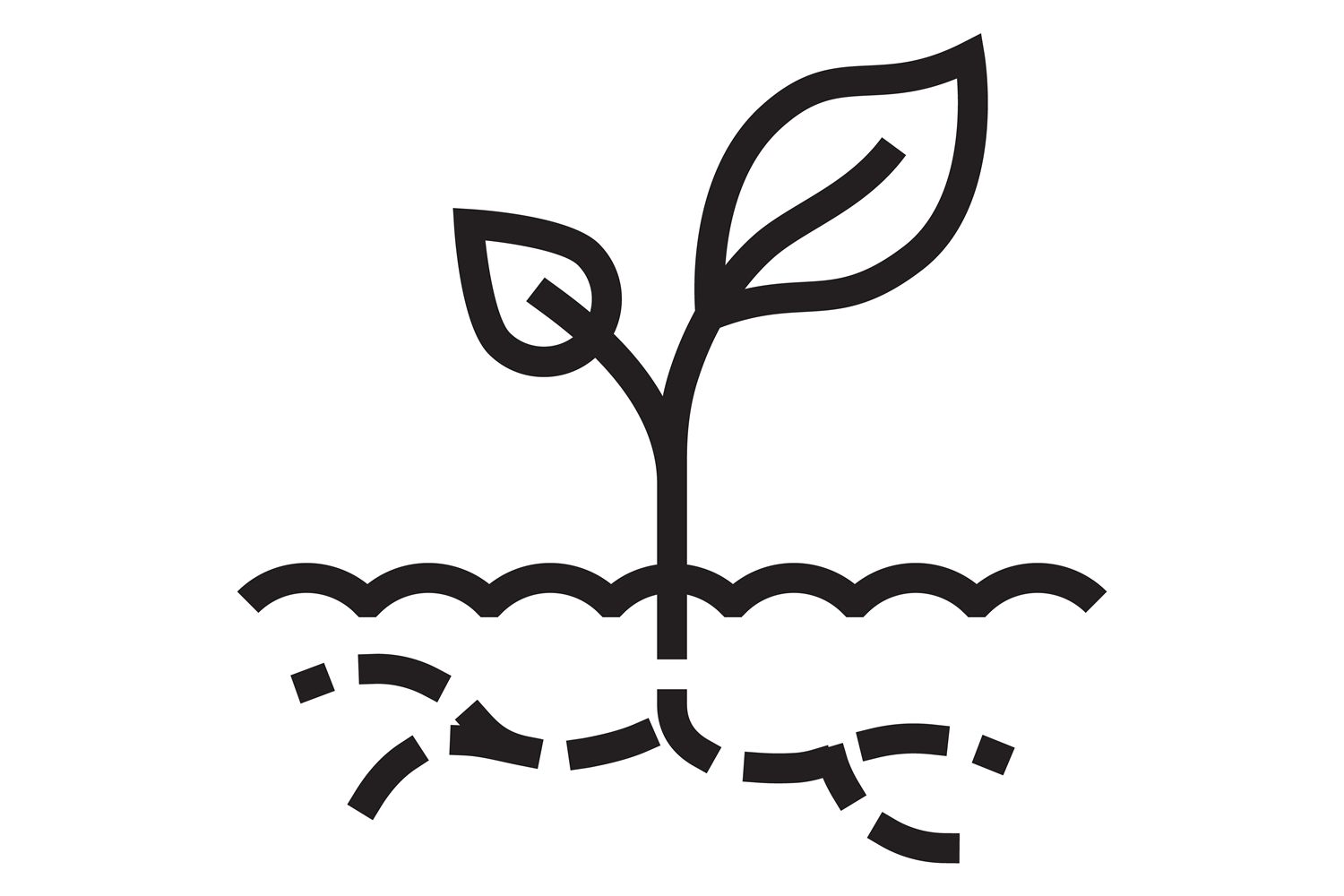 Seedling Line Icon. Growing Plant. Garde Graphic by microvectorone   Creative Fabrica