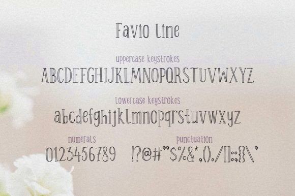 Favio Font - Preview 2