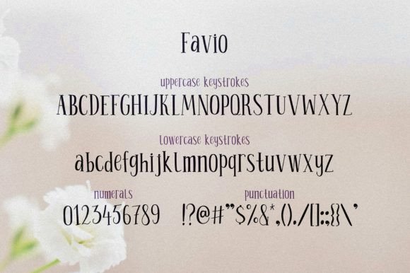 Favio Font - Preview 5