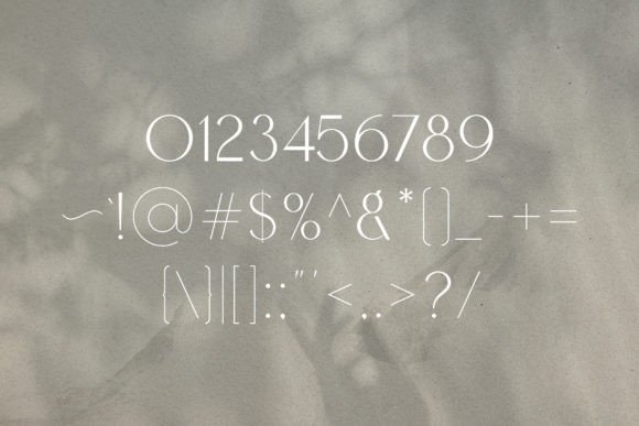 Calleo Font - Preview 2