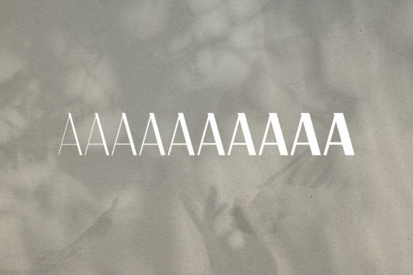 Calleo Font - Preview 4
