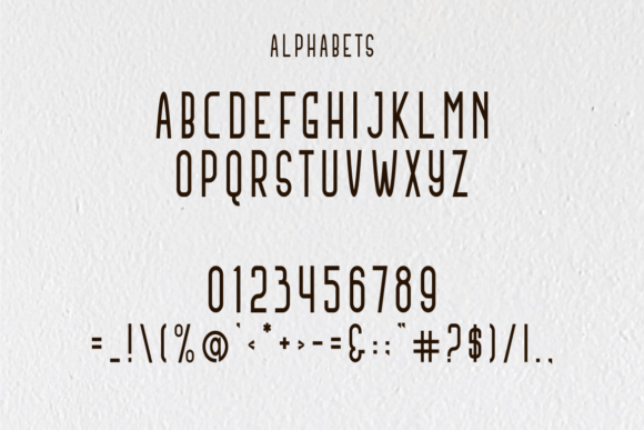 Antique Serrif Font - Preview 1