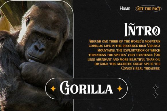 Arshaka Font - Preview 6