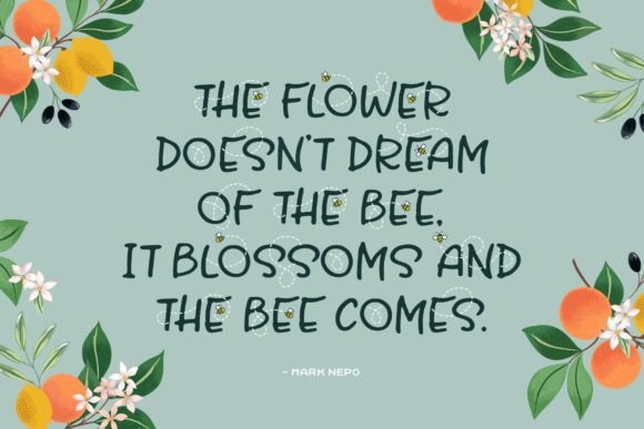 Honey and Bee Font PNG with transparent background - Preview 1