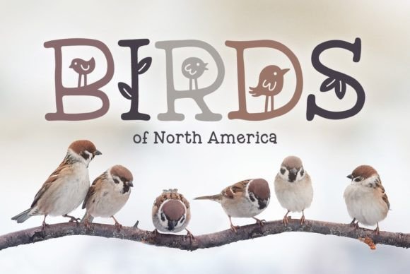 Mother Nature Font PNG with transparent background - Preview 5