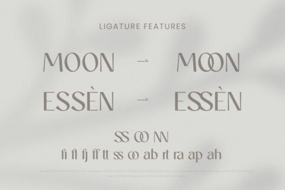 Nabi Font PNG with transparent background - Preview 2