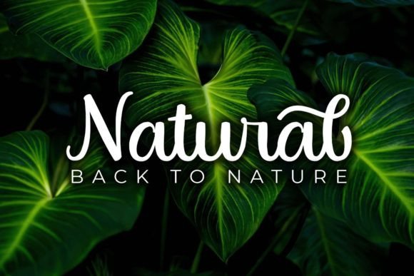 Origins Font PNG with transparent background - Preview 4