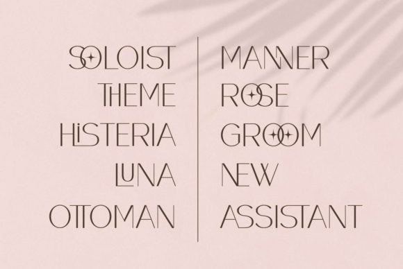 Raccosetta Font PNG with transparent background - Preview 3