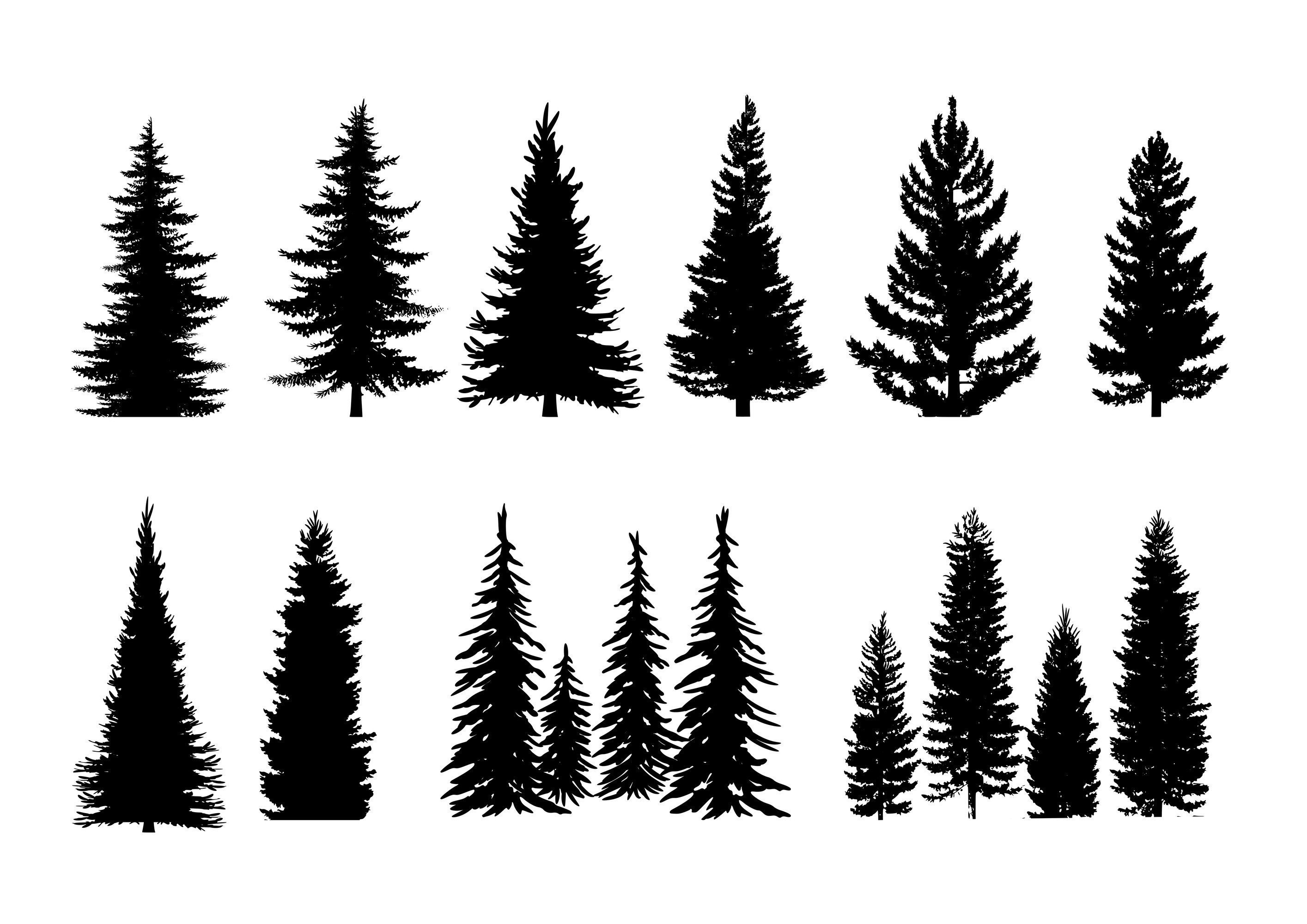 Set of 10 Pine Trees Silhouettes