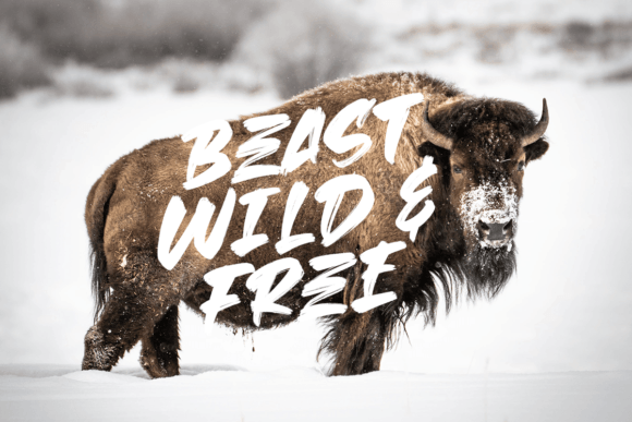 Beast Head Font - Preview 3