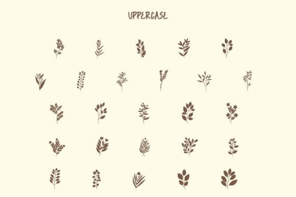 Botanikal Font - Preview 1